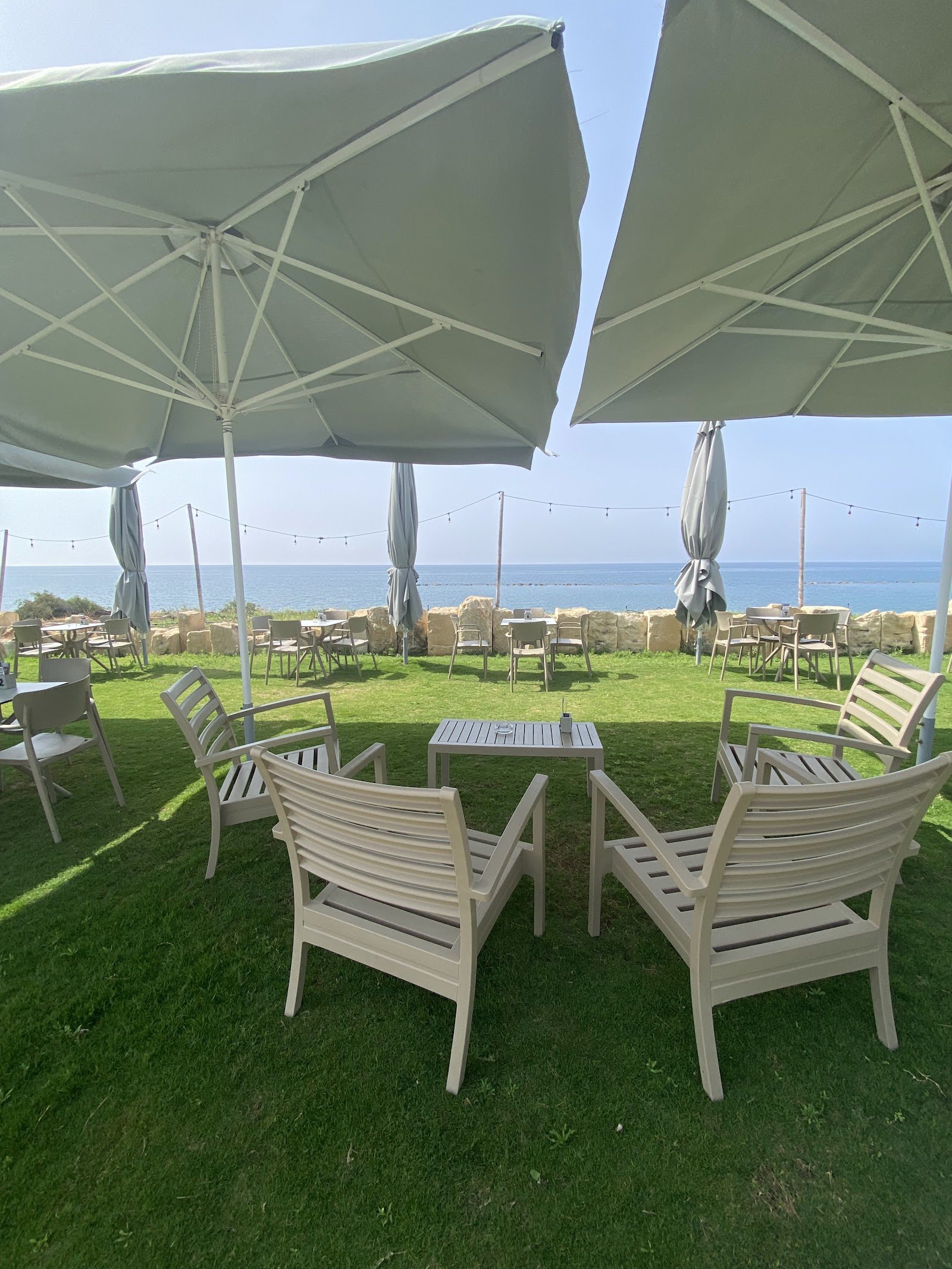 Grizo Cafe