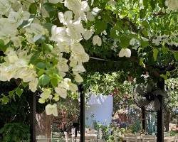 ithaki garden restaurant